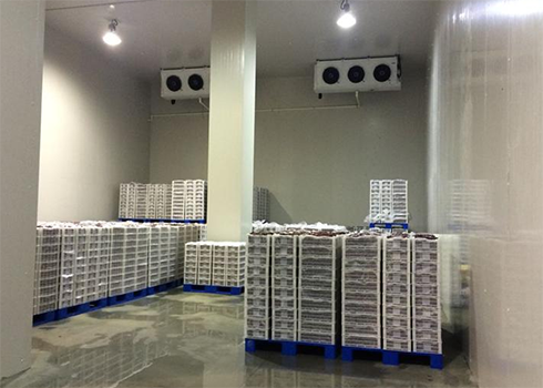 食品冷凍庫建造多少錢 食品冷凍庫建造多少錢