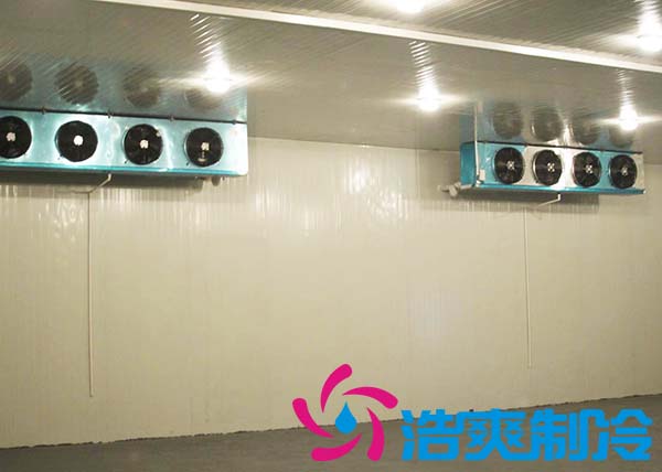 建造一間海參低溫冷凍庫大約需要多少費(fèi)用？