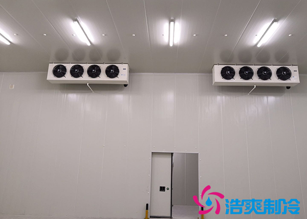 建造一個10000平方米生鮮冷庫冷鏈倉儲配送需要投資多少費(fèi)用？