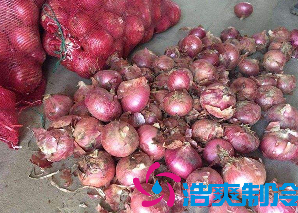 建造1000噸洋蔥保鮮冷庫安裝費(fèi)用是多少？