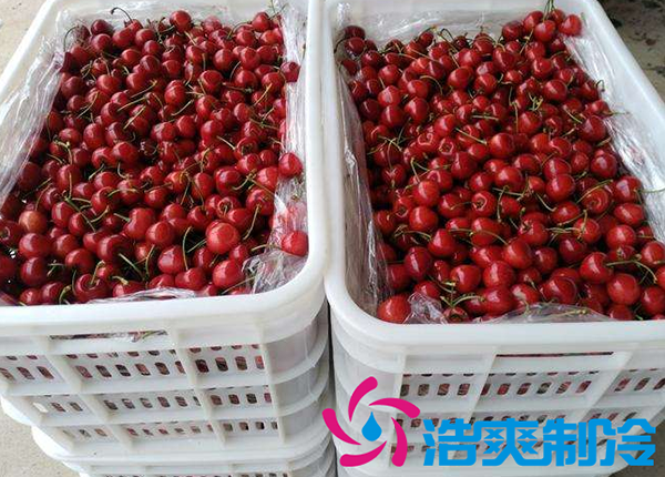 櫻桃氣調(diào)建造完成后有哪些儲(chǔ)存方法和步驟？_浩爽制冷