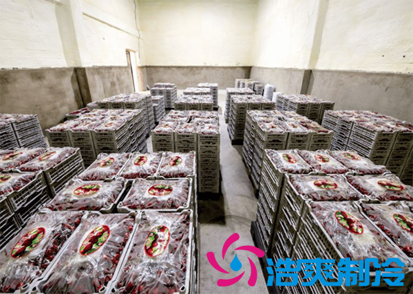 櫻桃氣調(diào)建造完成后有哪些儲(chǔ)存方法和步驟？_浩爽制冷