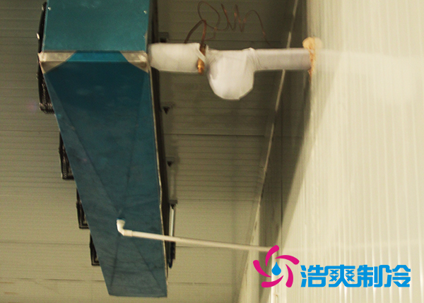 建造大型農(nóng)產(chǎn)品基地冷庫造價(jià)需要投資多少費(fèi)用？
