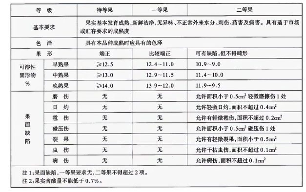 李子冷庫建造完成后如何用于儲(chǔ)存的？這些你都知道嗎