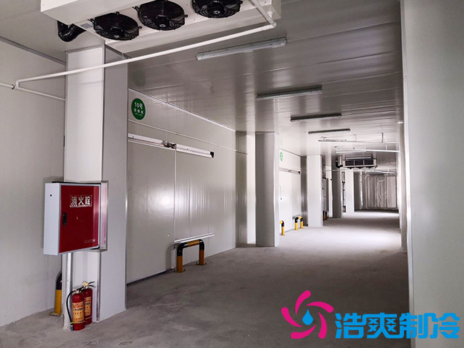 芭蕉氣調(diào)保鮮庫安裝如何確保果實(shí)的長期儲(chǔ)存？_浩爽制冷