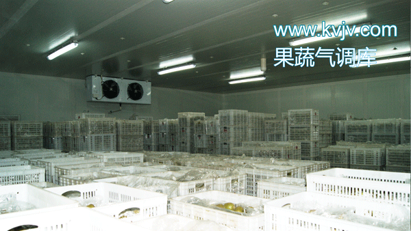 衢州蜜之源果業(yè)氣調保鮮冷庫建造工程 衢州蜜之源果業(yè)氣調保鮮冷庫建造工程