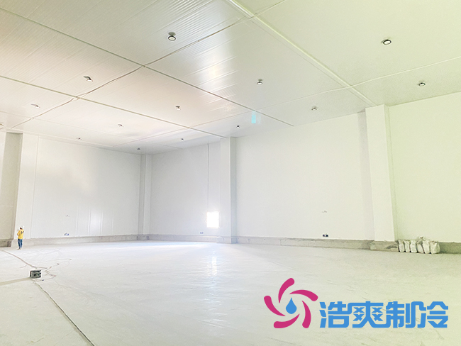 海南建造一個(gè)冷庫(kù)需要多少錢？_浩爽制冷