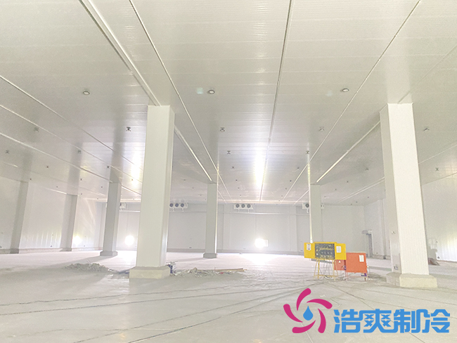 新建100噸桃子冷庫要多少錢？_浩爽制冷