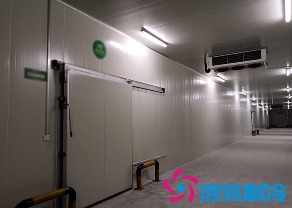 粽葉冷庫保存方法及溫度范圍_箬葉冷藏庫建造標準-浩爽制冷