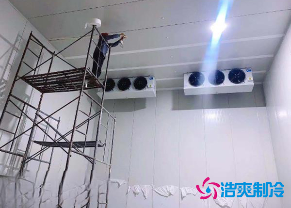 建造一個果蔬種植園氣調(diào)冷庫安裝造價大概投資多少錢？-浩爽制冷