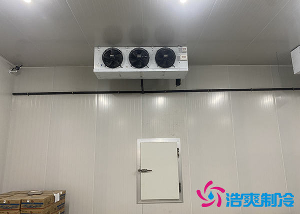 生鮮蔬菜市場(chǎng)冷庫(kù)應(yīng)該建多大？-浩爽制冷