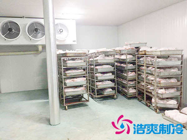 安裝一個(gè)速凍冷庫(kù)需多少錢(qián)？-浩爽制冷