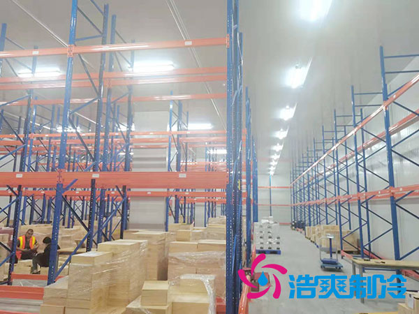 如何選擇專業(yè)的生鮮冷凍物流冷庫公司？-浩爽制冷