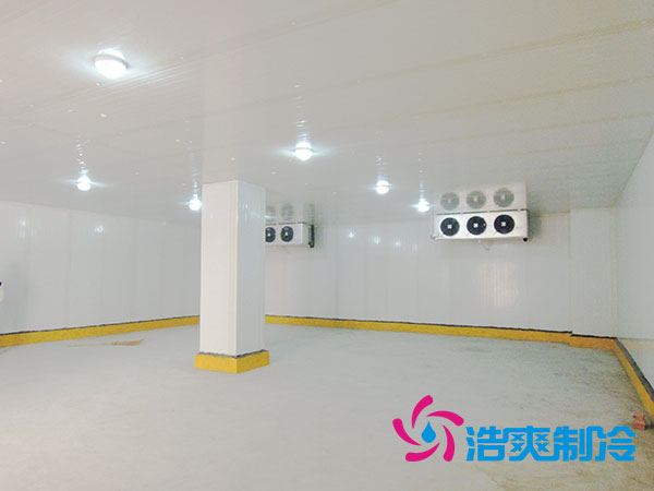 50噸果蔬氣調(diào)庫預(yù)算造價多少錢？-浩爽制冷