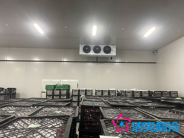嘉定雞蛋冷庫(kù)安裝建造多少錢？-浩爽制冷
