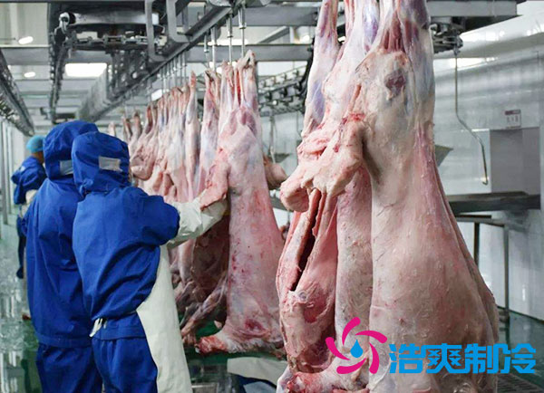 排酸冷庫安裝價(jià)錢多少錢？-浩爽制冷