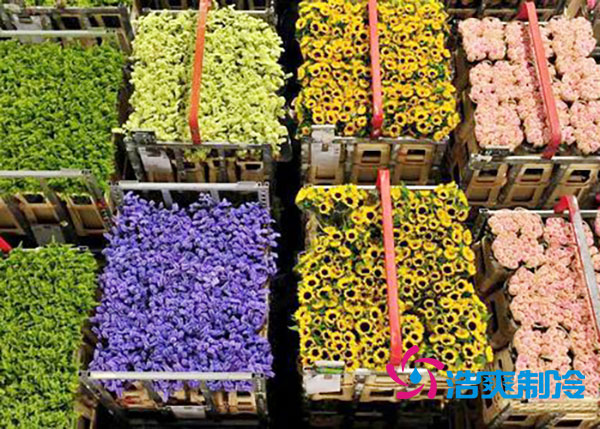 花卉冷庫安裝預(yù)算造價多少錢？-浩爽制冷