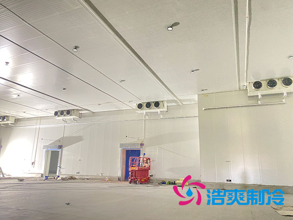 大型水果冷庫(kù)造價(jià)多少錢一平方？-浩爽制冷