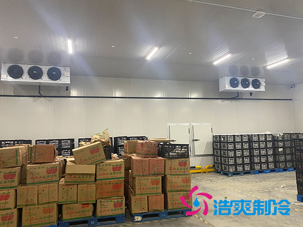 衡陽大型水果冷庫造價多少錢一平方？-浩爽制冷
