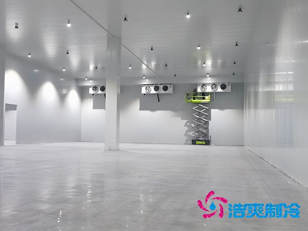 自建冷庫的成本與維護(hù)費(fèi)用概述