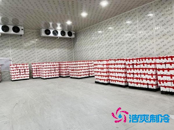 千噸級食品冷庫造價預(yù)算