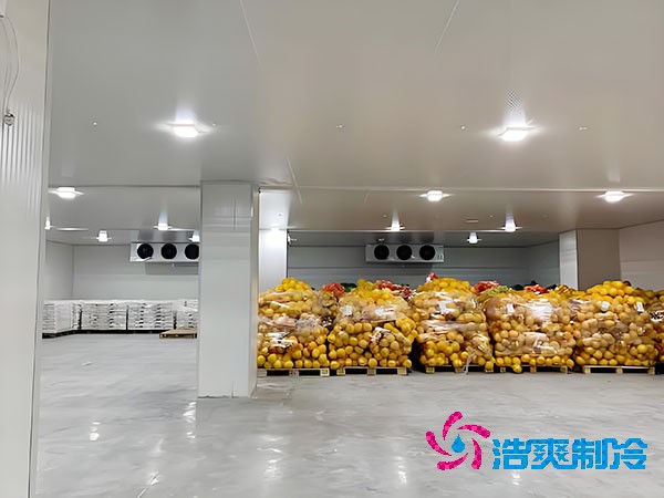 建設(shè)大型蔬菜保鮮庫的造價(jià)及安裝費(fèi)用解析-浩爽制冷
