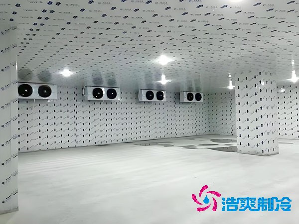 建一個(gè)生姜冷庫(kù)造價(jià)造價(jià)大概多少錢(qián)？-浩爽制冷