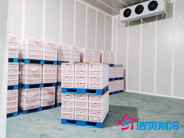 大型氣調(diào)冷庫造價(jià)